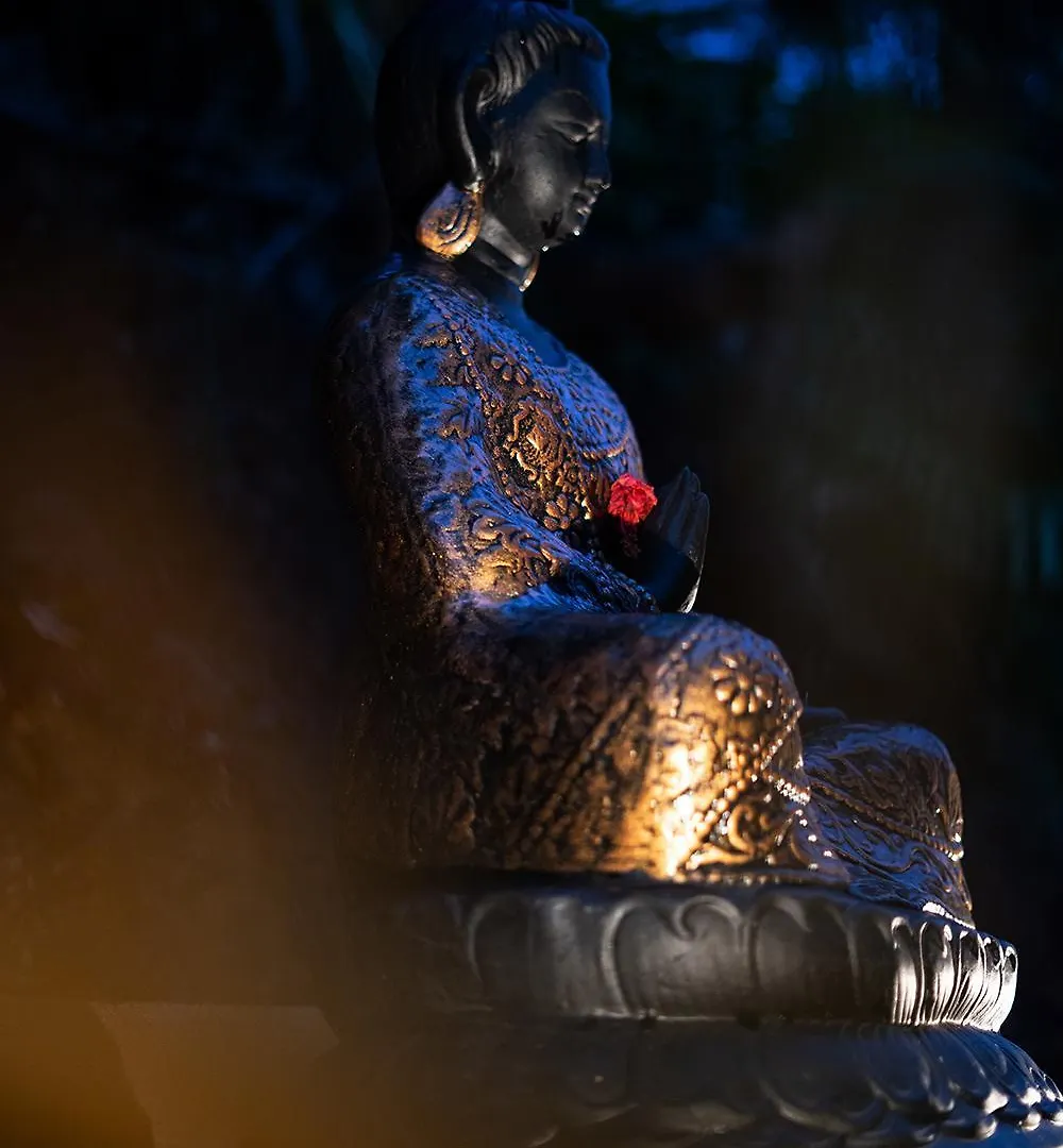Viceroy Luxury Mountain Resort And Spa Муннар