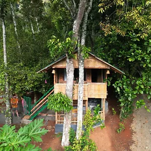  Guest house Fab - Bamboo Hut With Open Shower India